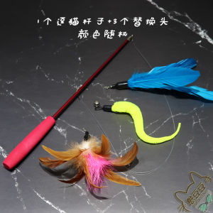 Dây Câu Cá Có Thể Mở Rộng Hando Bean Cat Toy Có Nhiều Đầu Lông Vũ Thay Thế Để Chơi Đùa Với Mèo Và Chim Cỡ Lớn