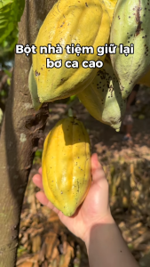 Bột Cacao Nguyên Chất 400g Thơm Đậm Dễ Pha Làm Bánh Làm Kem Pha Đồ Uống