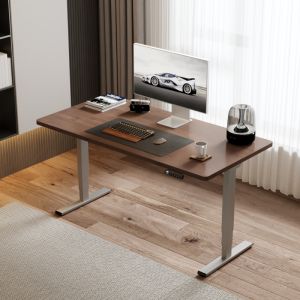 Loctek | Electric Height Adjustable Desk
