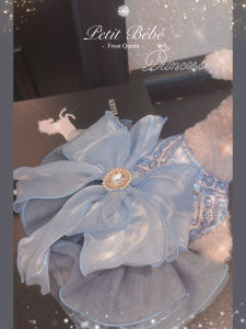 Ice Princess Style Dog Wedding Dress Costume for Chihuahua And Bichon Dogs Spring Autumn Fashion Pet Clothes Dog Dresses