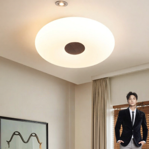 OPPLE | Full Spectrum Smart Song Aesthetic High CRI Eye-Protective Ceiling Light