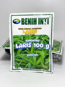 Benih Kangkung Laris Benih Inti 100 gram daun sempit hijau biji bibit sayuran unggul hidroponik