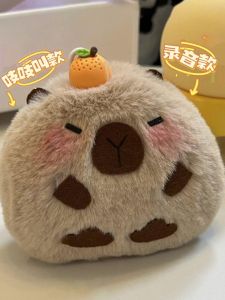 Đồ Chơi Búp Bê Capybara DIY Đồ Chơi Thủ Công Ghi Âm Đồ Chơi Học Tập Phổ Biến Cho Trẻ Em Từ 14 Tuổi Trở Lên Đồ Chơi Búp Bê Bằng Vải PP