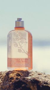LOccitane Fleurs de Cerisier Perfumed Bath & Shower Gel 250ml - Sabun Mandi
