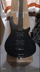 Bass Elektrik SDGR Cocok Untuk Pemula