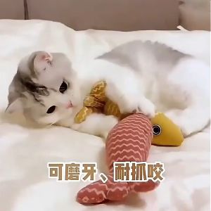 ของเล่นแมว ตุ๊กตาปลา ตุ๊กตาแคทนิป  ปลอดภัยไร้สารอันตราย ลักษณะการจำลอง สัมผัสนุ่ม cat toy fish