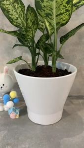 European Modern Minimalist Creative Ceramic Pot Personalized Design Hotsale Desktop Decoration Indoor Ceramic Flower Pot