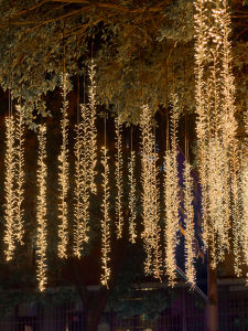 DENGLAODI | Outdoor Garden Tree Hanging Decorative String Lights