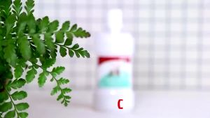 Dental Water Bioline 300ml - Nước Thơm Miệng Ngừa Viêm Nứu Hương Táo Cho Chó Mèo