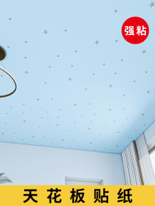 Waterproof Moisture Proof Ceiling Wall Stickers Self Adhesive Roof Top Decoration Material Easy Install Cover up Wall Paper