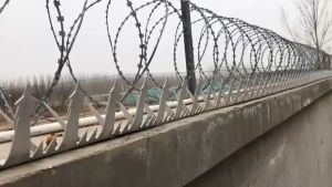 NLIM Stainless Wall Spikes: Anti-Theft & Anti-Climbing Solutions