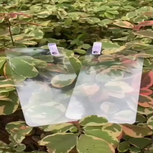 Anti Gores Bening Berlubang Oppo A72 4G A72 5G A74 4G A74 5G Tempered Glass dengan Lubang kamera depan Full Layar Support Sidik jari Fingerprint di layar Kaca Tebal.