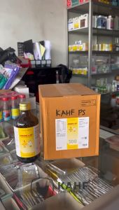 Strong n Fit 1 DUS 6 Botol x 300 ml Vitamin Cair Pemacu Produktivitas Ayam [KAHF PS]