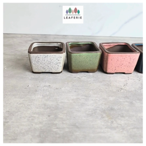 The Leaferie Bonsai flowerpot (Series 77) square flower pot . planters planter pots ceramic . plant