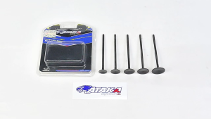 1pcs-ATAKA Racing Universal Intake & Exhaust 4.5MM Valve Length 100MM 【19/20/21/22/23/24/25/26/27MM】