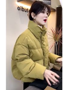Fashion French Style Petite Insulated Cotton Jacket