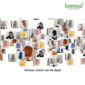 2in1 Bremod Hair Color Hair Dye Cream+Oxidizer Set 100ml+100ml Honey Tea Brown\Milk Tea Ash\Burgundy\Ash Brown\Black BR-R301