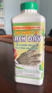 RHODO SẠCH ĐÁY - Xử Lý Bùn Đáy Ao Khử Mùi Hôi Ổn Định pH - Chai 1 Lít