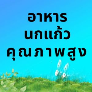 กรีน บาลานซ์ อาหารนแก้วทุกชนิด (ไซด์ SS) ขนาด 500 กรัม