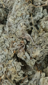 绵茵陈 白文陈 100g Wormwood Herb