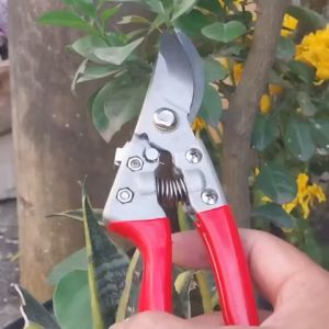 Kéo cắt cành cộng lực SK5 Nhật Bản cao cấp tay bọc su chống trượt bằng thép kg gỉ