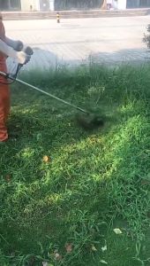 1pc Universal M10 Lawn Mower Trimmer Head Petrol Trimmer Head Strimmer Bump Spool 2 Lines Brush Cutt