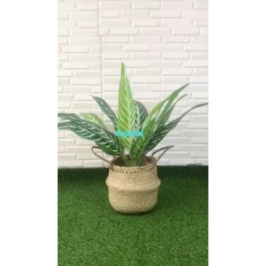 Pohon Artificial Daun Aglonema Hijau Strip X12 Semilatex Cover Pot Anyaman Purun Belly S Dekorasi Cafe