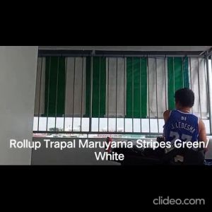 Roll Up and Roll Down Stripes Tarpaulin Lona Tolda Trapal outdoor For roof extension 4X6 5X6 6X6 6X7 6X8 6X9 6X10 6X12