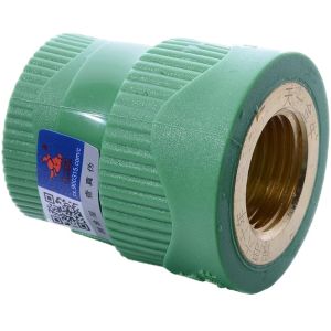 TIANYIJINNIU | Reducing Internal Thread PPR Fitting 3/4inch