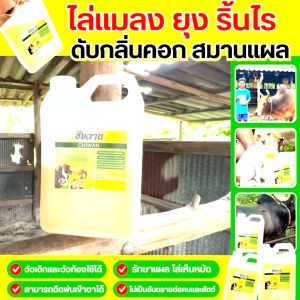 ชัยวาน ตัวช่วย กำจัดยุง แมลงวัน ริ้นไร ในคอก ไล่แมลงในคอกสัตว์ ป้องกันยุง ป้องกันแมลง แถมฟรี❗หัวฉีดฟ็อกกี้ 1 ชิ้น Chiwan ไล่ยุง ไล่แมลง