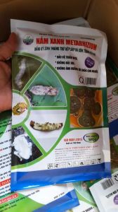 NẤM XANH METARHIZIUM Trừ Rệp Sáp Côn Trùng Sinh Học - Bột 500gr