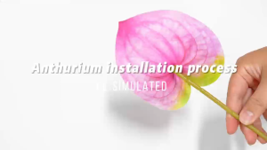 Dekorasi Pernikahan yang Elegan! Bunga Anthurium Buatan dengan Tampilan Realistis Panjang 60 cm Terbuat dari Kain Berkualitas Tinggi untuk Pelaminan