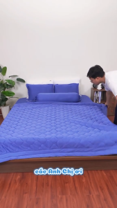 [Nhiều màu] Bộ Chăn Ga Gối 5 Món Thun 3D Hàn Quốc LaLas Bedding Mát Thoáng Khí size 1m6 và 1m8 chăn chần bông sẵn