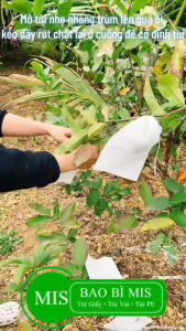 Combo 300 Túi Bảo Vệ Trái Cây Vải Không Dệt Có Dây Rút (Không Nút Cao Su) Bao Bọc Xoài Bưởi Mận Nho Trái Cây Chống Côn Trùng