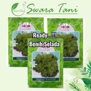 Benih selada GRAND RAPIDS 15gram Cap Panah Merah
