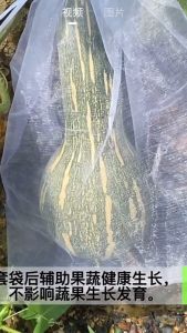 【24H SHIP OUT】Garden Net Bag Plants Vegetable Fruit Protection Netting Anti Pest Bird Insects Drawstring Mesh Beg Sayur