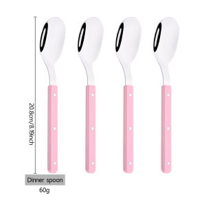 4pcs Acrylic Clip Stainless Steel Handle Spoon Set Mirror Dinner Spoon Tableware Western Dessert Coffee Spoon Kitchen Cutlery