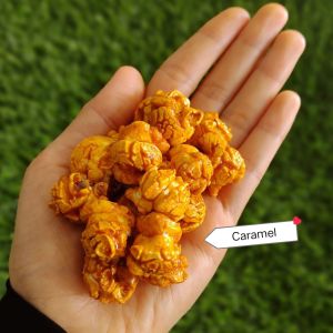 POPCORN DOUBLE CARAMEL 1KG