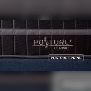 (FULL SET) Goodnite Posture Classic 10.5inch 7 Turn Posture Spring Mattress + FC103 Bed Frame