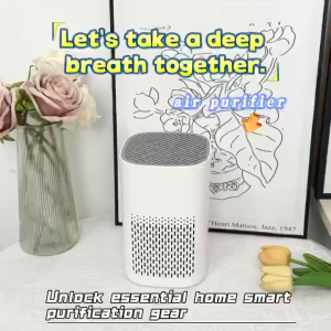 รับประกันห้าปี Electrolux เครื่องฟอกอากาศ air purifier เครื่องกรองอากาศ ฟอกอากาศ เครื่องฟอกกาศ กรองฝุ่น PM2.5 ฟอกมลพิษ กรองฝุ่น เหมาะพื้นที่ 50-100㎡ กำจัดควันบุหรี่มือสอง แสงบรรยากาศแสงสีฟ้า กลิ่นอโรมา ดับกลิ่น