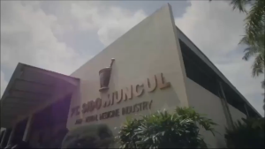 Sido Muncul Kunyit Asam Sirih - Mengurangi Bau Badan - 1 BOX Isi 5 Sachet