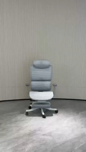 Ergoseat - [New Arrival] AERO HIgh-Back Ergonomic Office Chair Premium Support Full Adjustability Engineered for All Day Comfort