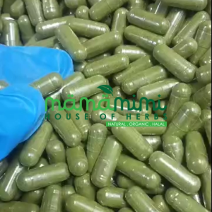 Kapsul Moringa / Moringa Oleifera / Daun Kelor