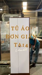 Tủ Quần Áo Phối Ngăn Để Đồ Đa Năng Nhỏ Gọn Thương Hiệu SIB Decor TA14