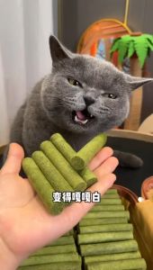 Freeze Dried Cat Grass Stick Hairball Solution Healthy Cat Food