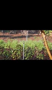 Bộ 10 Béc tưới thân xoay 2 tia BB-906 ren ngoài 17/21mm dùng trong hệ thống tưới tự động