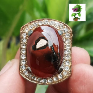 Asli Batu Gambar Tembus Senter 24cm Ring.8/9