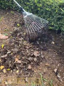 คราดหญ้าสวน คราดหญ้า 15 ฟัน คราดเหล็กปรับระดับได้ คราดเหล็กปรับระดับได้ มีด้ามจับ ผลิตจากสแตนเลสคุณภาพสูง แข็งแรง คราดหญ้าจัดสวน จัดส่งที่รวดเร็ว!