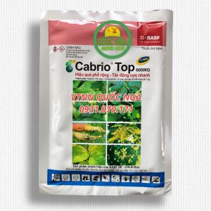 CABRIO TOP 600WG - CHUYÊN TRỪ SƯƠNG MAI THÁN THƯ MỐC SƯƠNG RỈ SẮT GHẺ SẸO