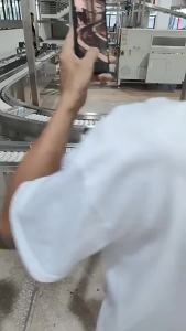 Green Leaf Insecticide for Killing Ant Kill Ants Kill Small Black Ants Red Ant Household Ant Powder Ant Poison Exterminate Ants Baits Wholesale